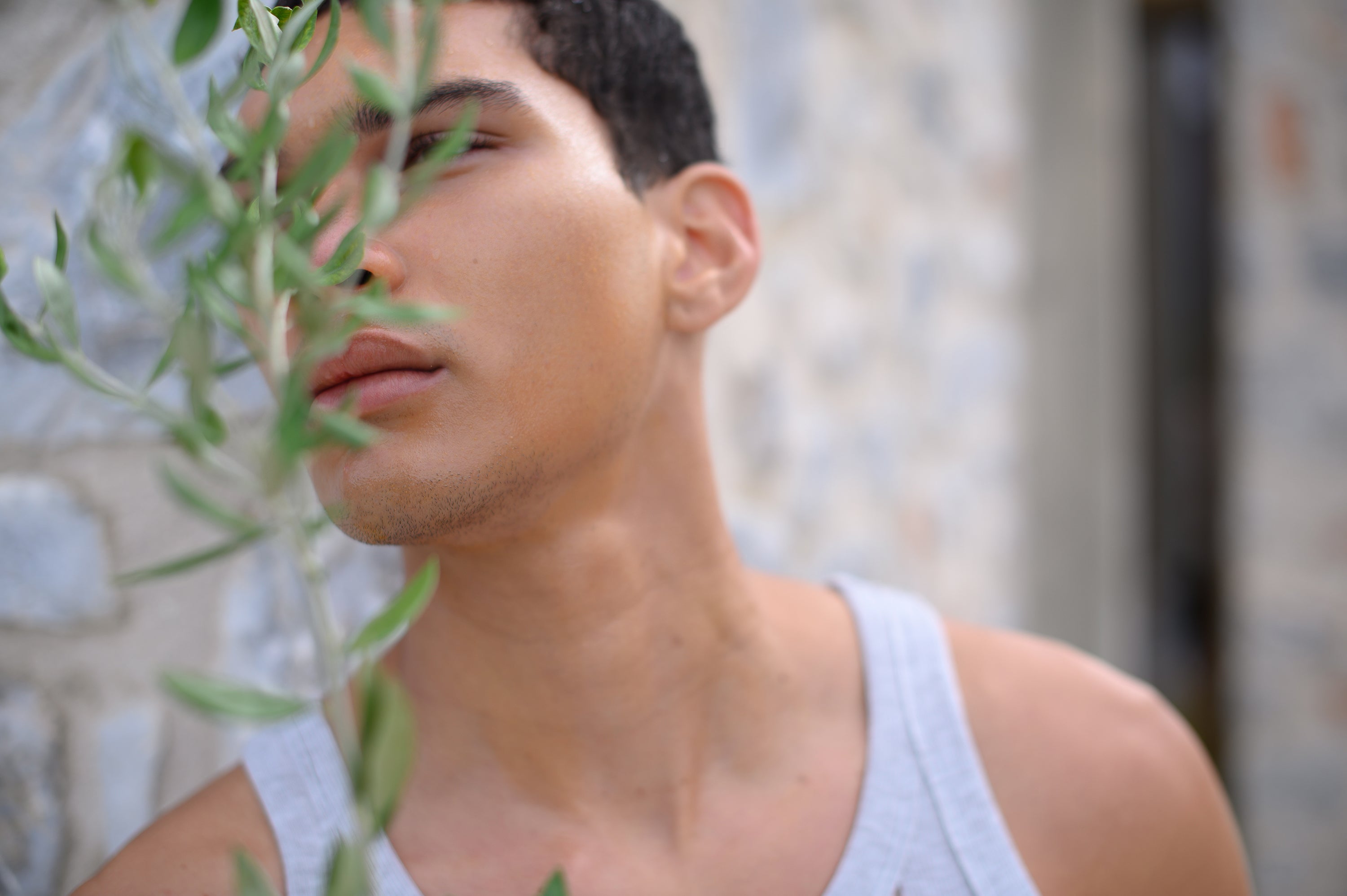 Close up of male model's face behind olive tree brranch