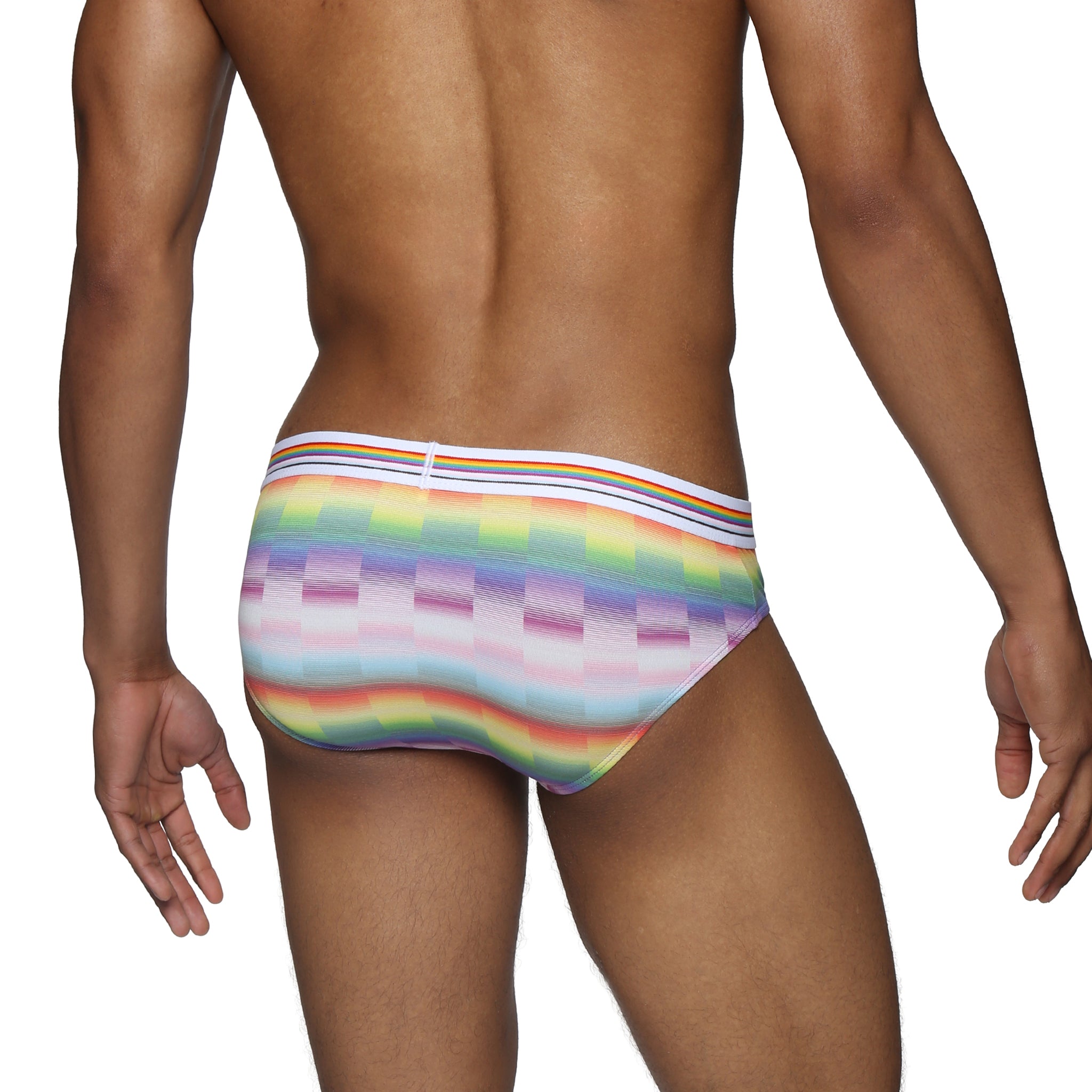 Paradise Pride Printed Low Rise Brief - Parke & Ronen