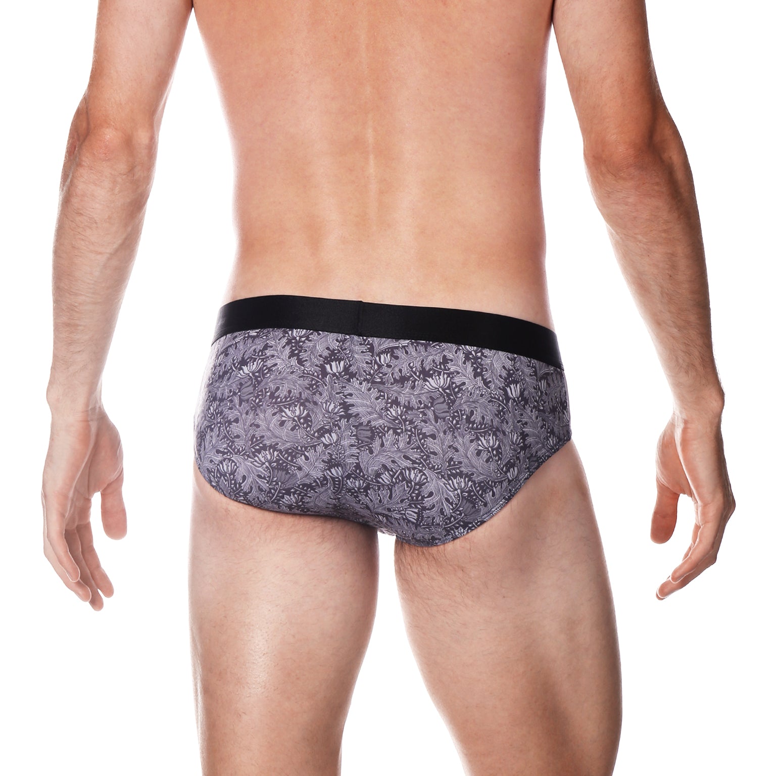 Zinc Cassini Print Low Rise Brief