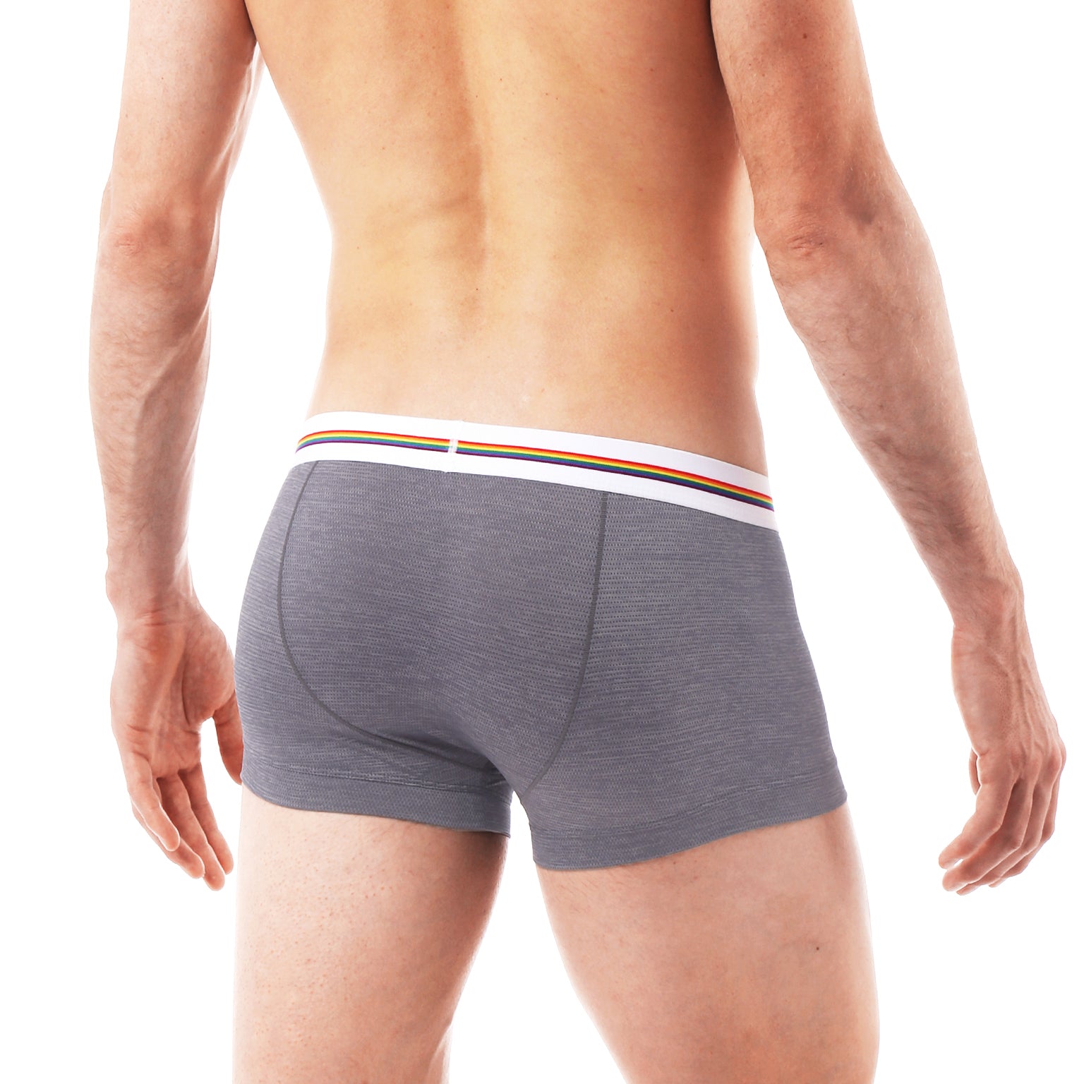 LIMITED PRIDE EDITION- Dove Grey Heather Mesh Low Rise Trunk