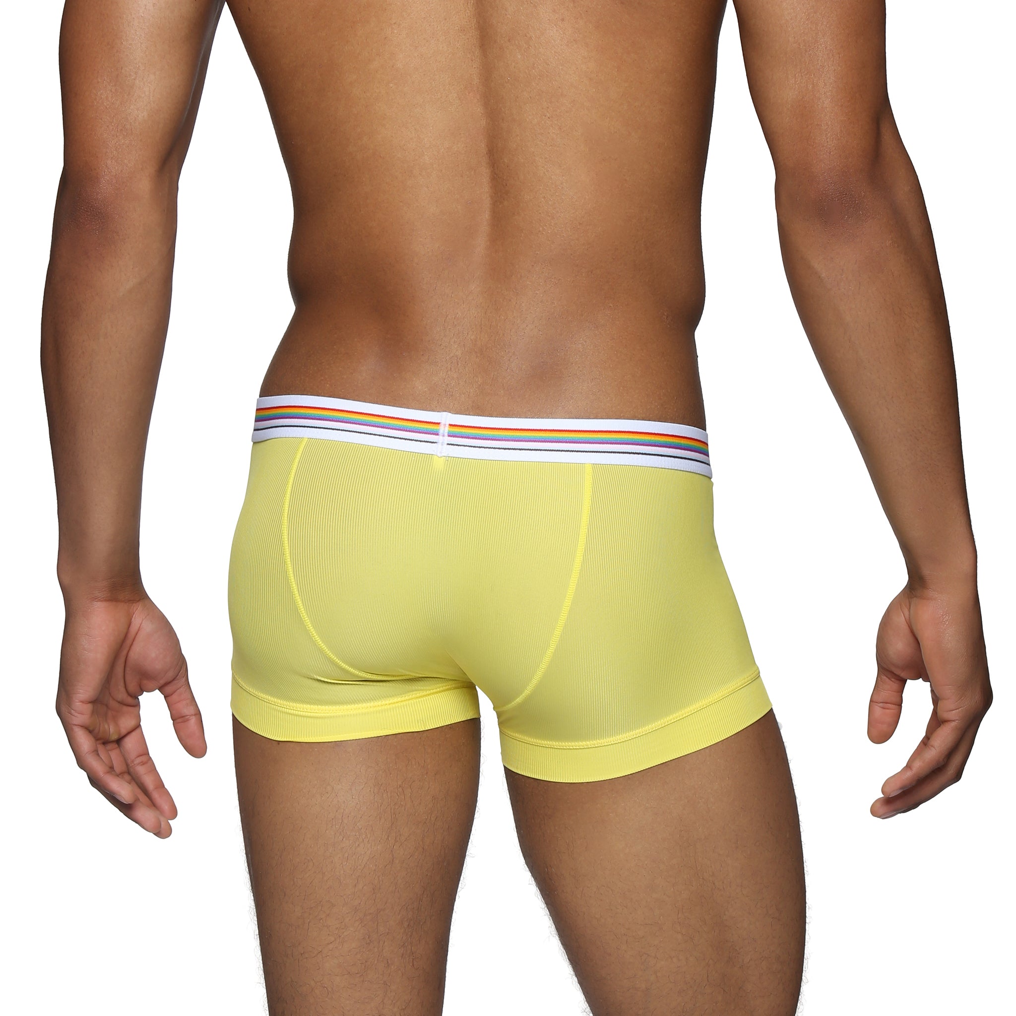 Canary Boudoir Nylon Low Rise Trunk - Parke & Ronen