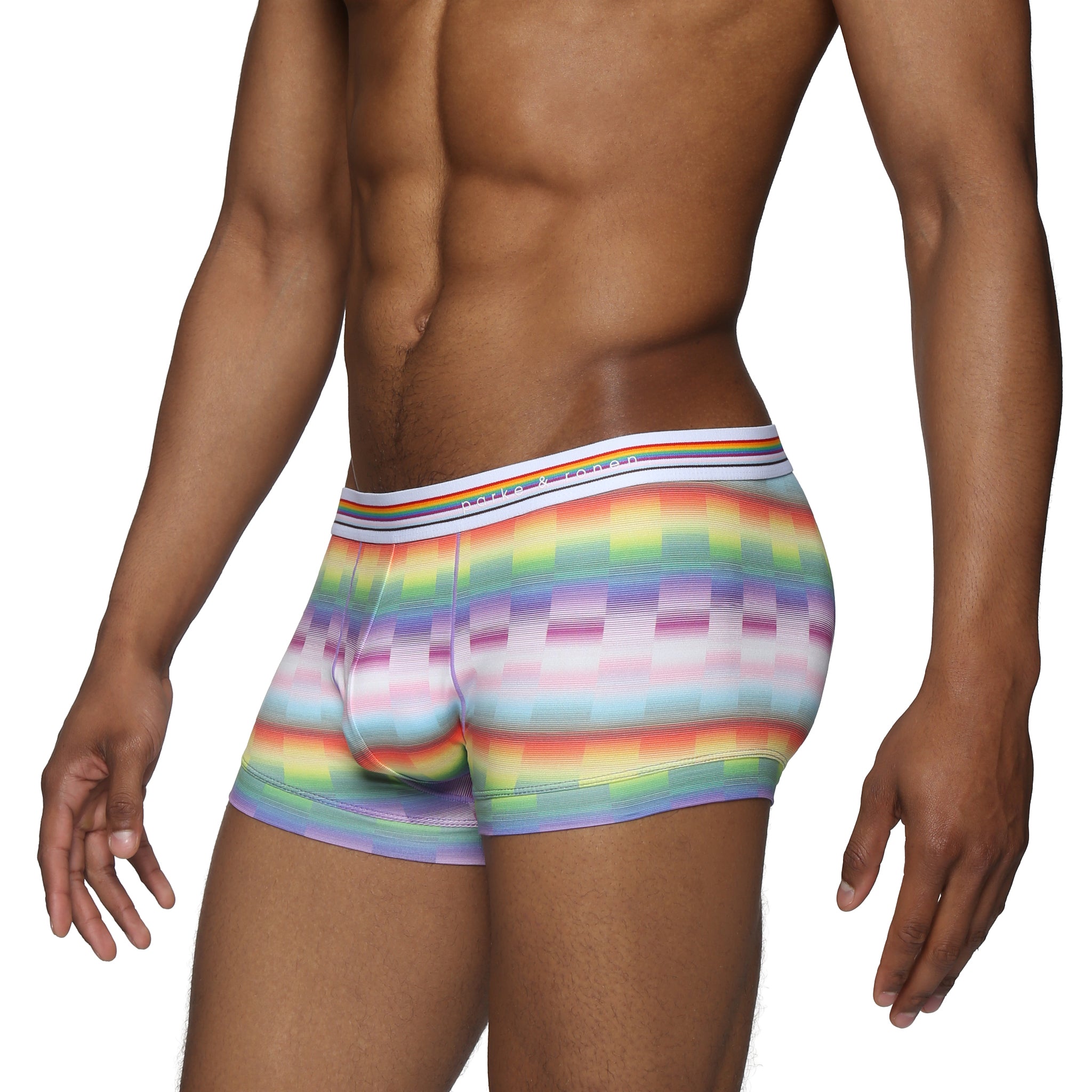 Paradise Pride Printed Low Rise Trunk - Parke & Ronen