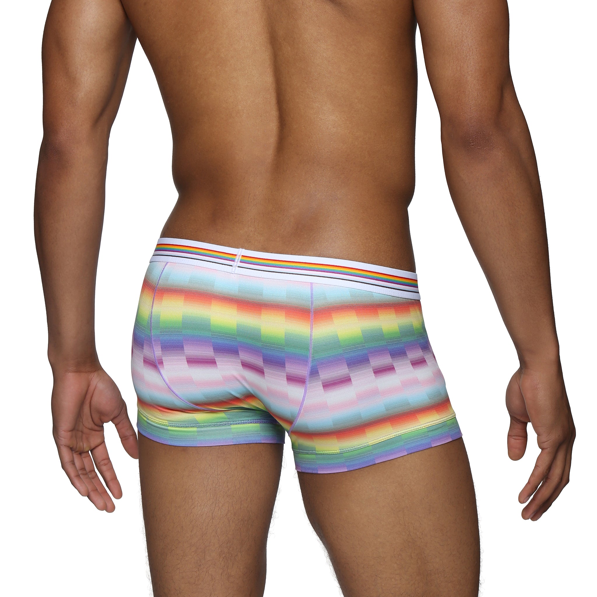 Paradise Pride Printed Low Rise Trunk - Parke & Ronen
