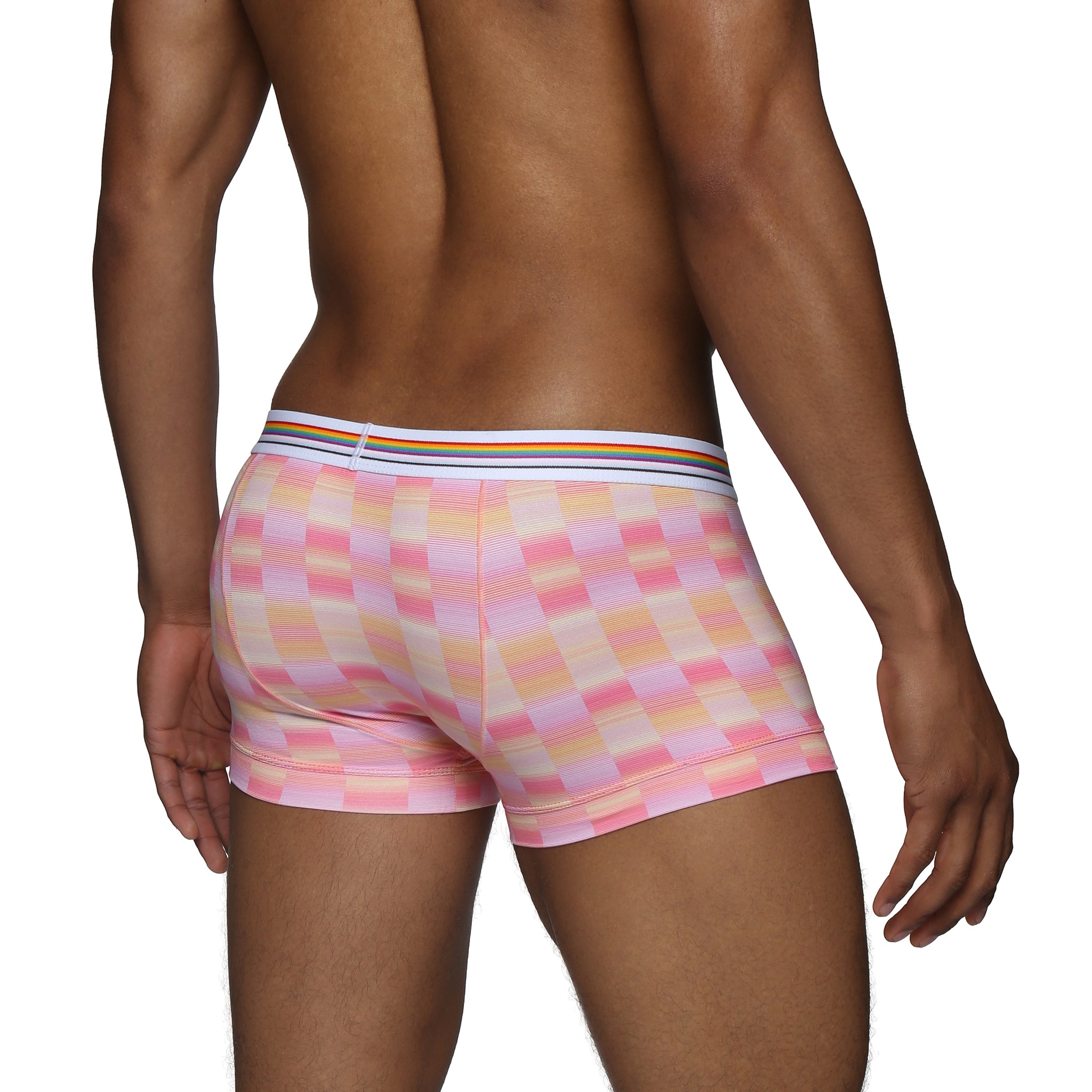 Sunset Pride Printed Low Rise Trunk - Parke & Ronen