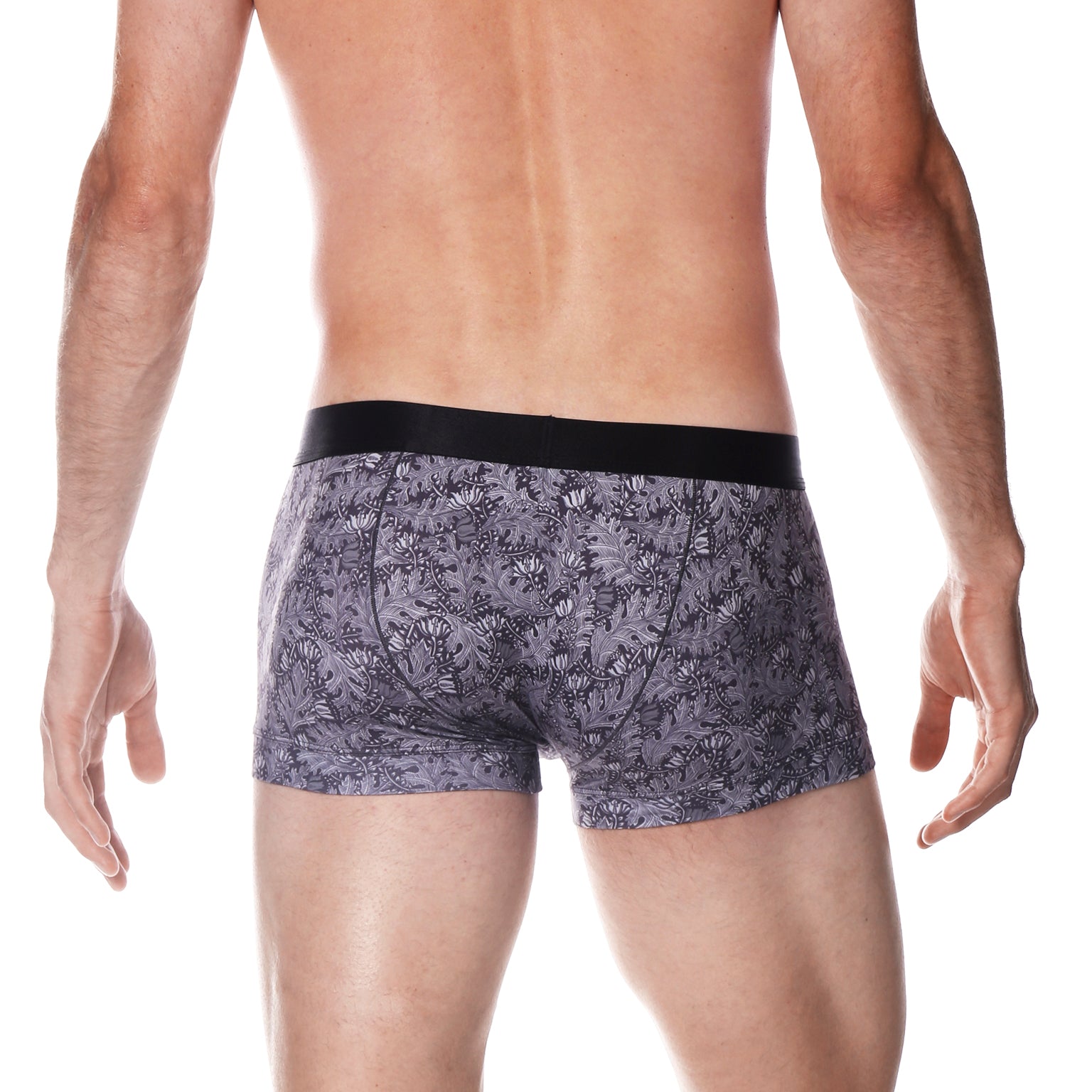 Zinc Cassini Print Low Rise Trunk