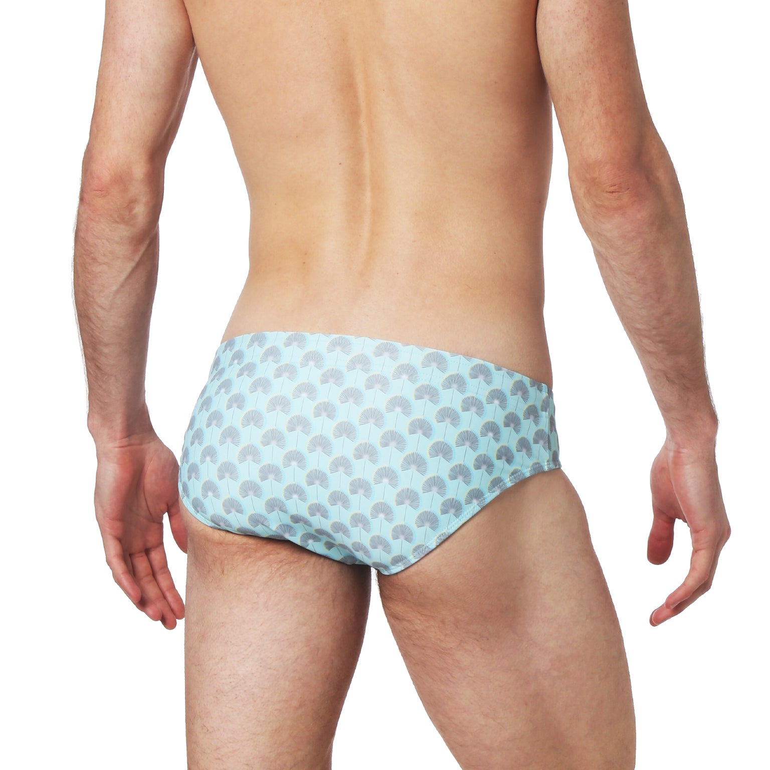 Fan Dancer Robin's Egg Print Meridian Brief