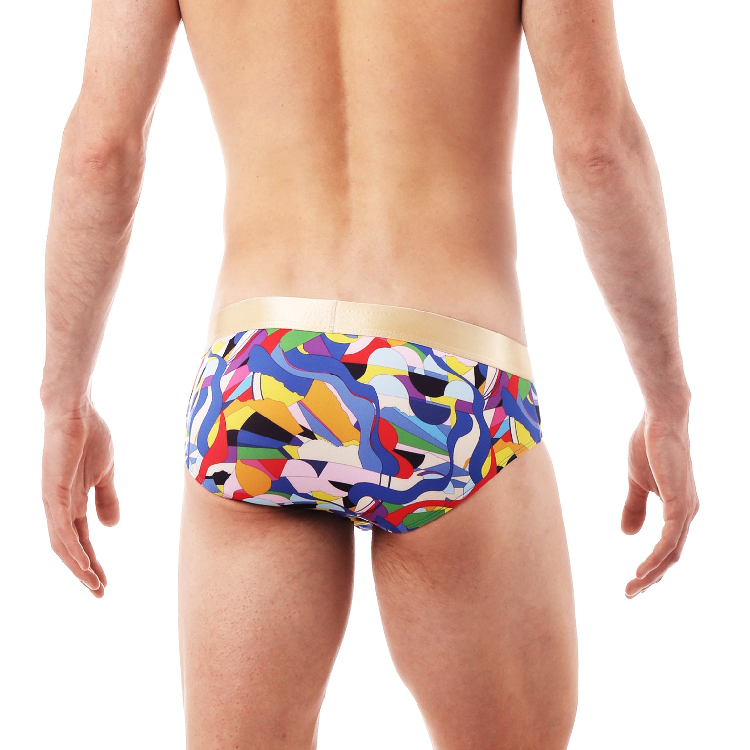 Royal Jubilee Print Low Rise Brief