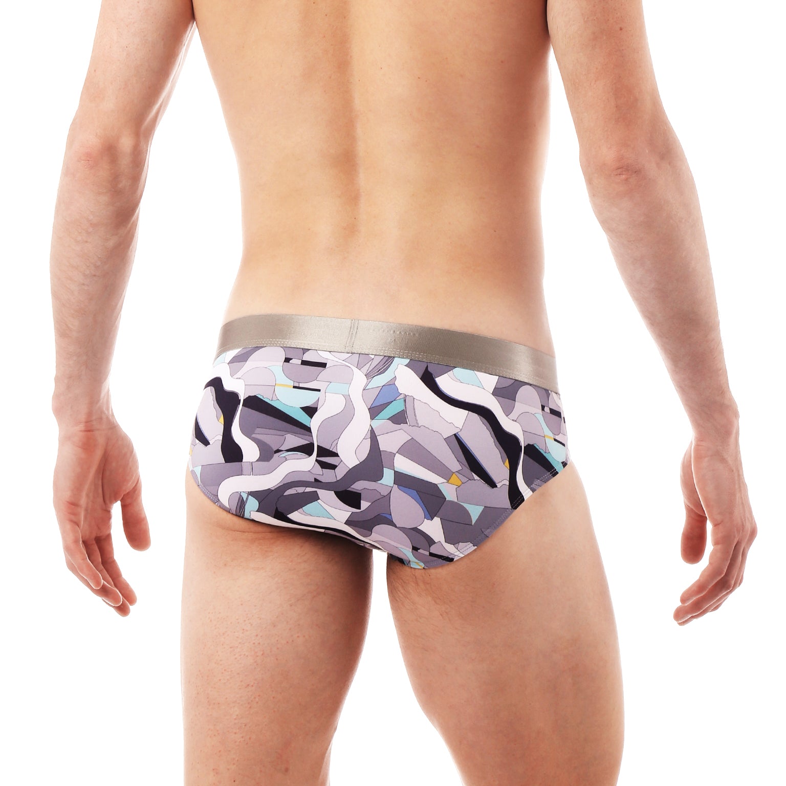 Silver Jubilee Print Low Rise Brief