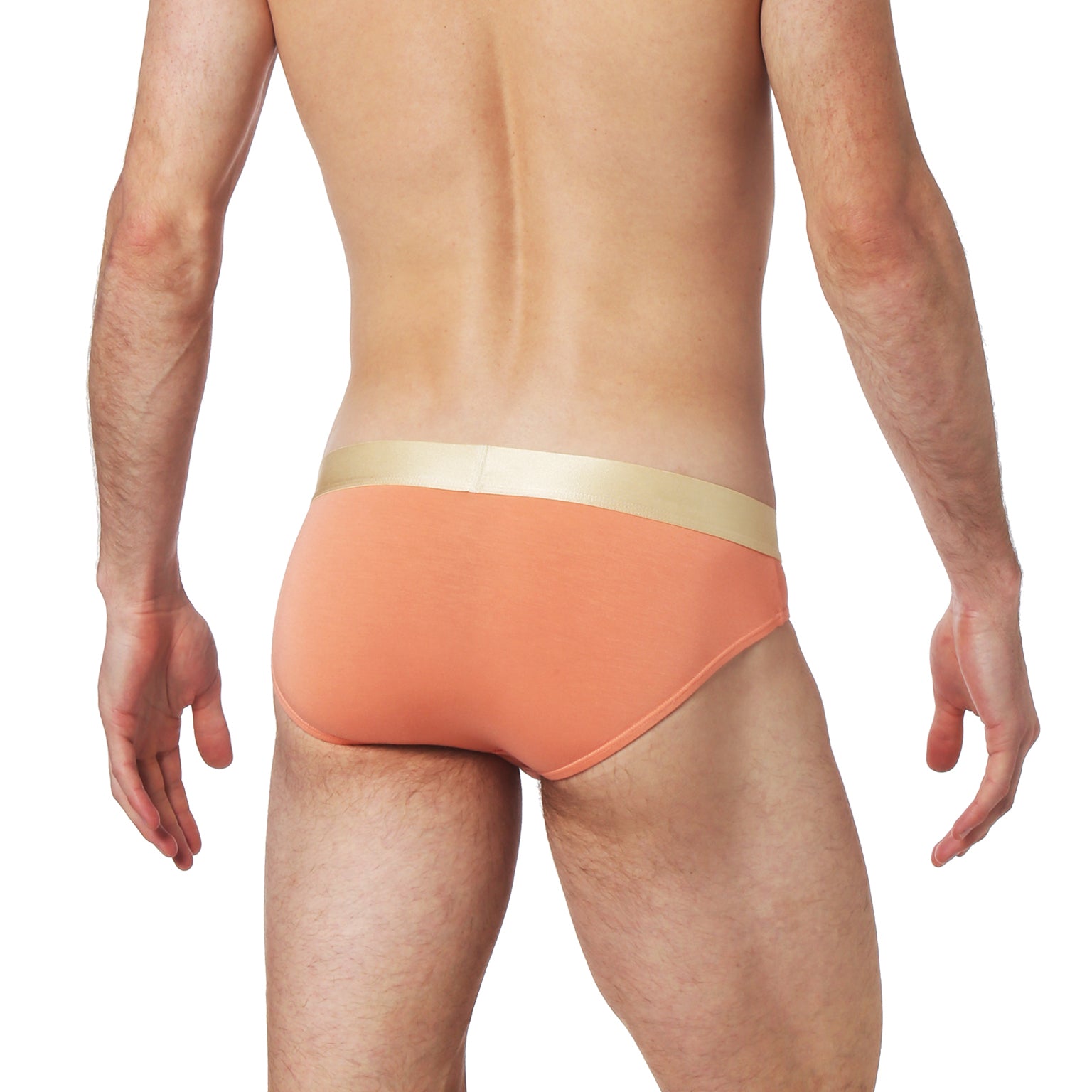 Paloma Low Rise Brief