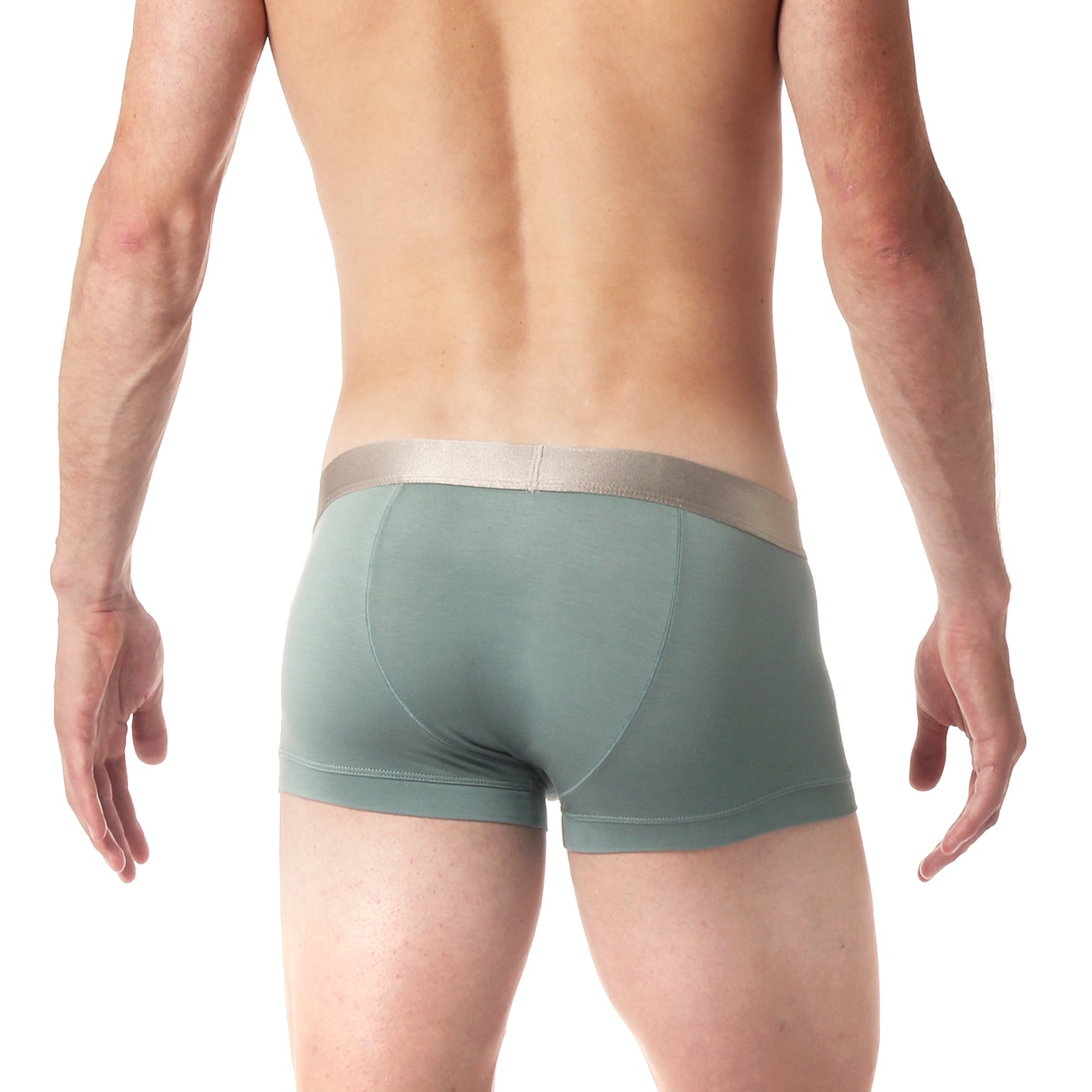 Patina Green Solid Low Rise Trunk